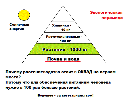 растениеводство оквэд